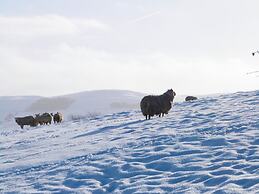 1 Hull House Cottage