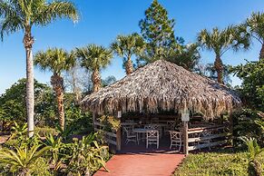 Breezy Day at Bahama Bay