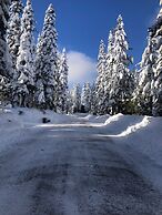 Modern Rustic Retreat