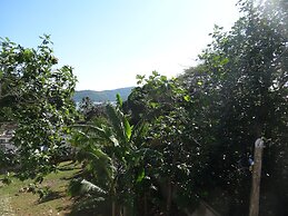 Blue Paloma Bed & Breakfast