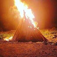 Blue Paloma Bed & Breakfast