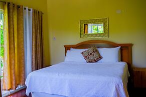 Blue Paloma Bed & Breakfast