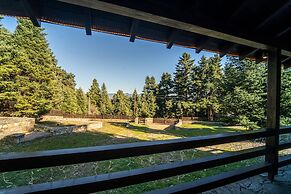 Dandy Villas Elatodasos Chalet Artemis