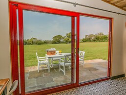 Down the Rabbit Hole