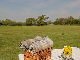 Down the Rabbit Hole