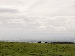 Down the Rabbit Hole