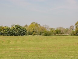 Down the Rabbit Hole