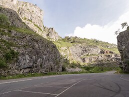 Down the Rabbit Hole