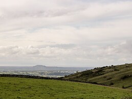 Down the Rabbit Hole