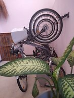 Itza Hotel Akumal - Hotel - Hostel