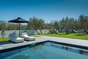 Villa Elysian in Psarou