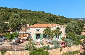 The Yiameli Collection - Meli