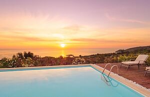 The Yiameli Collection - Levandi