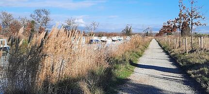 Gîte et Chambres d'hôtes  Le Coq du Nord - Mailhac