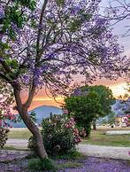 Belle Vue Ölüdeniz