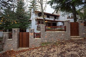 Dandy Villas Agoriani