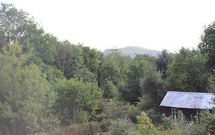 Rhandirmwyn - Cottage - Sleeps 4 - Pet Friendly