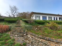 Tree of Life Junoon in The Hills