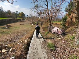 Tree of Life Junoon in The Hills