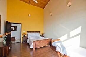 Tree of Life Junoon in The Hills