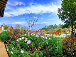 Tree of Life Junoon in The Hills