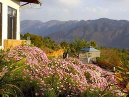 Tree of Life Junoon in The Hills
