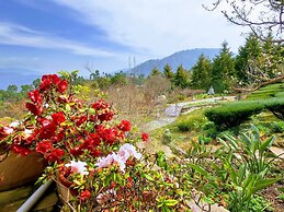 Tree of Life Junoon in The Hills