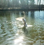 ext Stay, the Design Apt, Sanctuary of the Swan Wellness Hotel Swan Re