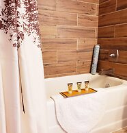 Extended Stay, the Premier Apt at 1906 Sanctuary of the Swan, Sleeps 4