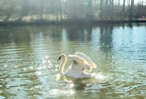 Extended Stay, the Premier Apt at 1906 Sanctuary of the Swan, Sleeps 4