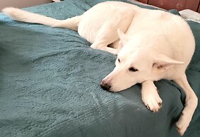 Extended Stay, the Premier Apt at 1906 Sanctuary of the Swan, Sleeps 4