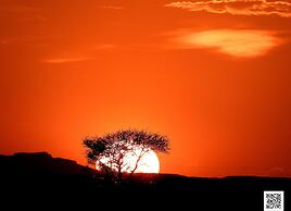 Room in Guest Room - Luxury Desert Camp in Merzouga