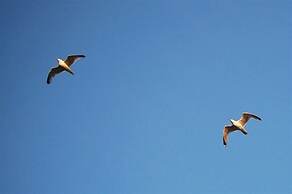 Cosy, Quiet Static Caravan, Mawgan Porth, St Eval