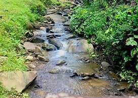 A Gatlinburg Getaway #1228