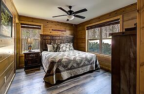 Bear Cove Falls #4133