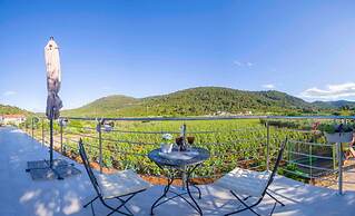 Filip - Vineyard and Large Terrace - SA2 Rozi