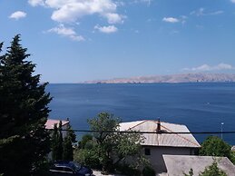 Zlato - With Pool - SA5 Maslina