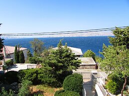 Zlato - With Pool - SA5 Maslina