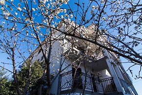 Mato - With Parking - A1