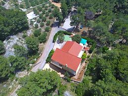 Denis - 100 m From Beach - H