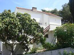 Vladislava - 400 m From sea - A1