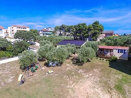 Iva - Great Garden - H