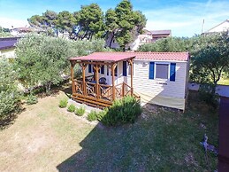 Iva - Great Garden - H