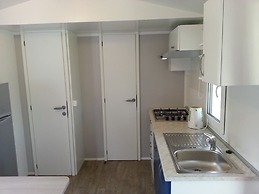 Iva - Great Garden - H