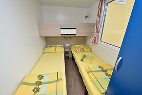 Iva - Great Garden - H