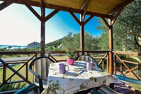 Iva - Great Garden - H