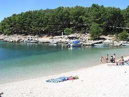 Iva - Great Garden - H