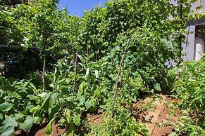 Mila - 100m From the sea - A2