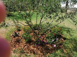 Anka - Comfortable and Affordable - A1