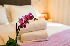 Novis - Close to the sea - A5 Tina